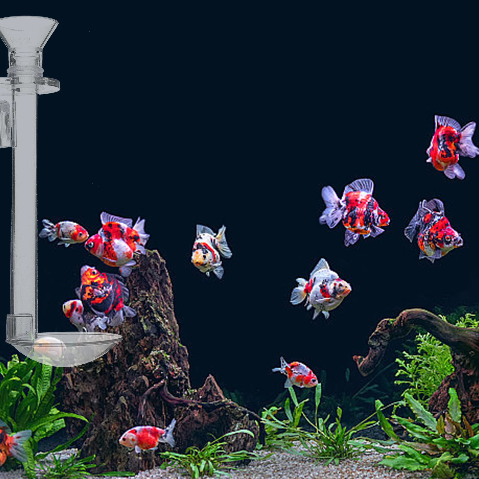 

1Set Wall Mount Fish Feeder Acrylic Feeding Tube for Aquarium Shrimp Feeding Supplies Vacation Feeder Tank Accessories