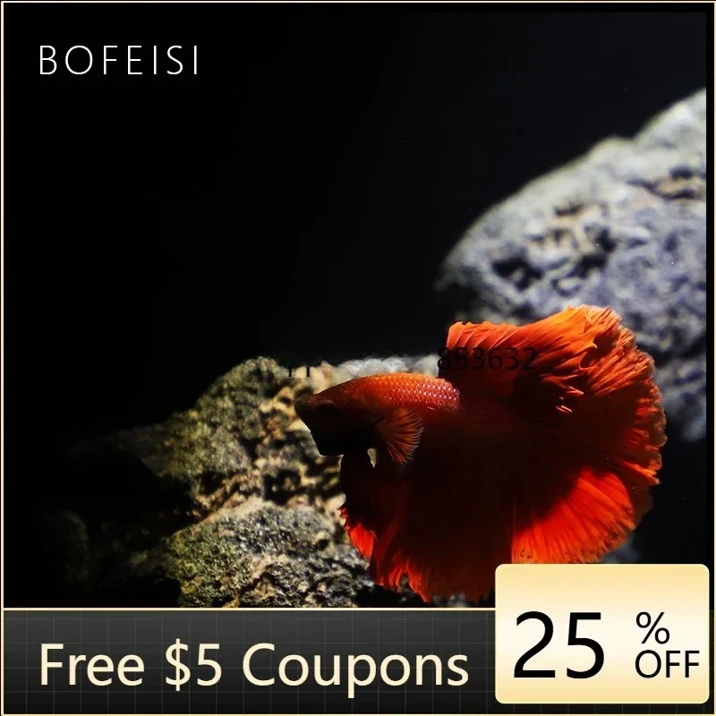 y4- fish tank advanced special betta tank ecological landscaping desktop living room aquarium exquisite small creative dark wind