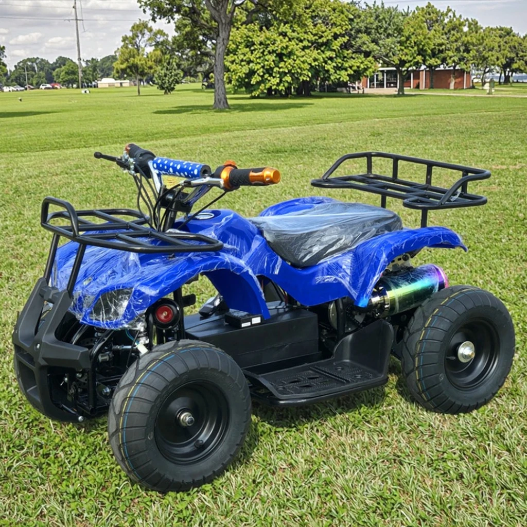 

New Model 500w 36v Electric ATV With CE for Kids