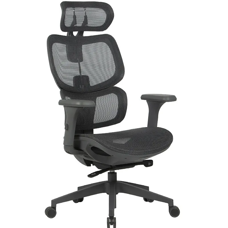 Office Furniture Ergonomic Chair, Computer Chair Home Siesta Siesta Office Chair