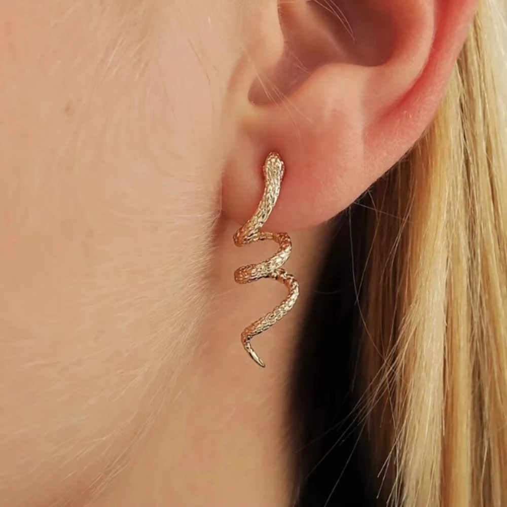 

Small Snake Shaped Winding Earrings for Women Gold Color Vintage Punk Animal Metal Earring Cool Hiphop Party Jewelry Gifts