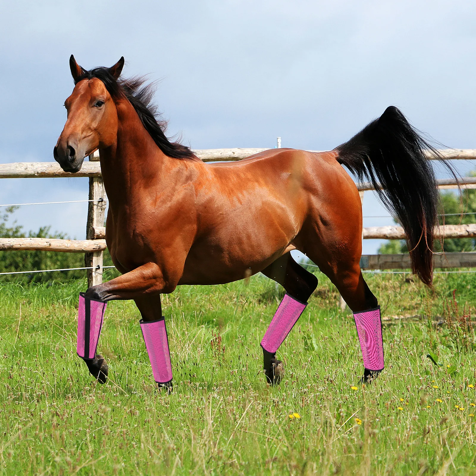 مجموعة من 4 غطاء حماية لقدم الحصان، أغطية ساق الحصان الواقية، أحذية الذبابة الشبكية للحصان لمنع عض الذباب والبعوض #3