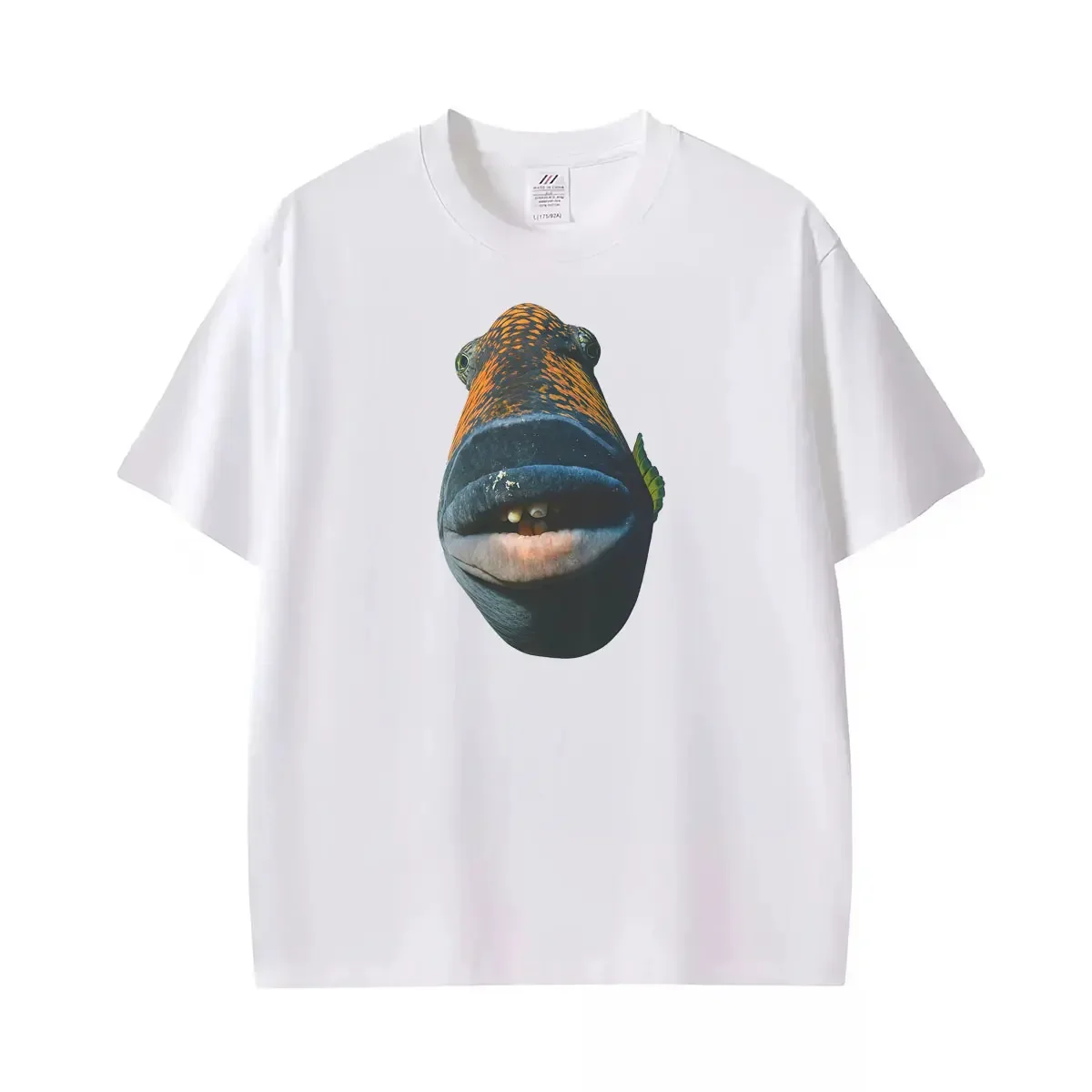Staring Fish Brainrot Meme Funny Fishy Memes Printed T-shirts MWomen Summer Fashion Retro T ShirtsCasual T-shirt