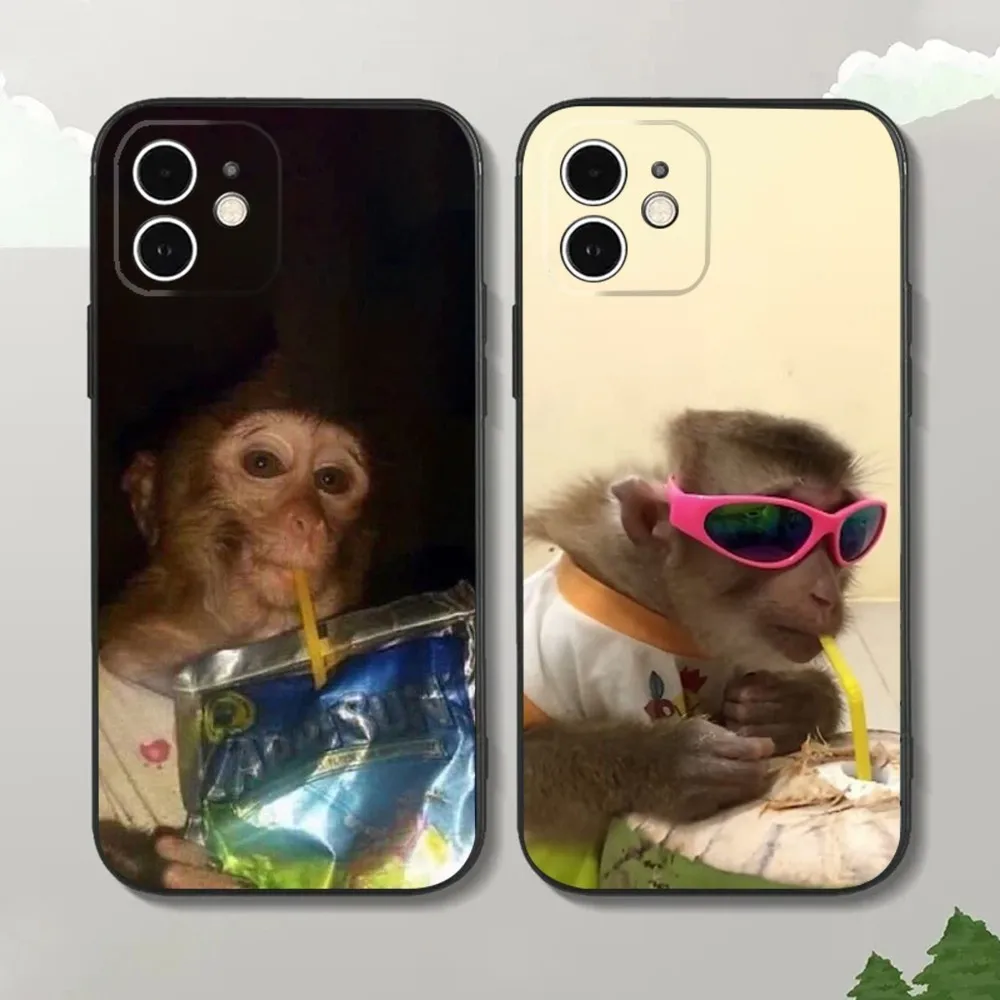 Cute Monkey Sipping Caprisun Meme Phone Case For iPhone16,15,14,13,12 Mini 11 Pro XR,X,XS,MAX 7,8 Plus Silicone Cover Soft Black