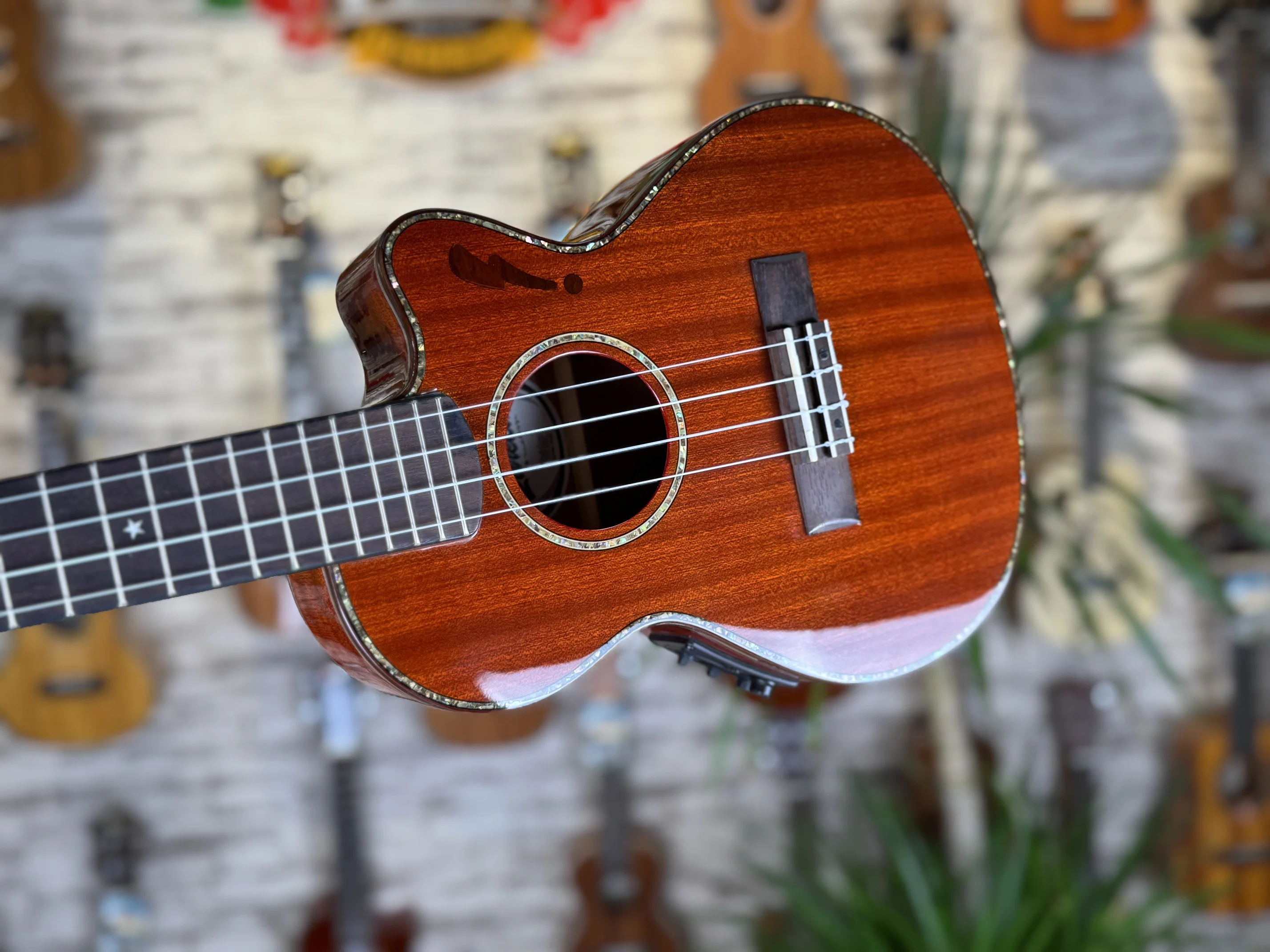Thumbnail 4 - #21 Compare Ukuleles Before You Buy