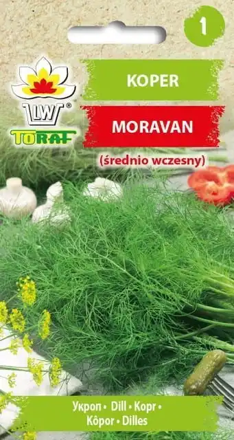 Moravan Dill 5G Vegetable Fennel Seeds TORAF