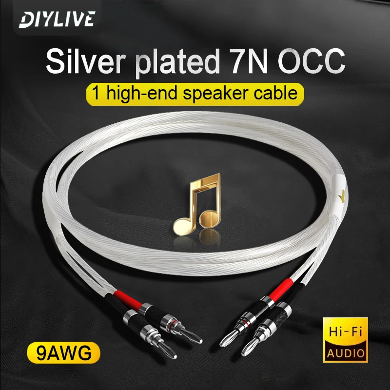 DIYLIVE HIFI Posrebrzany kabel głośnikowy Wysokiej klasy przewód głośnikowy 7N OCC do systemów Hi-Fi Wtyczka Y Wtyczka bananowa Kabel głośnikowy