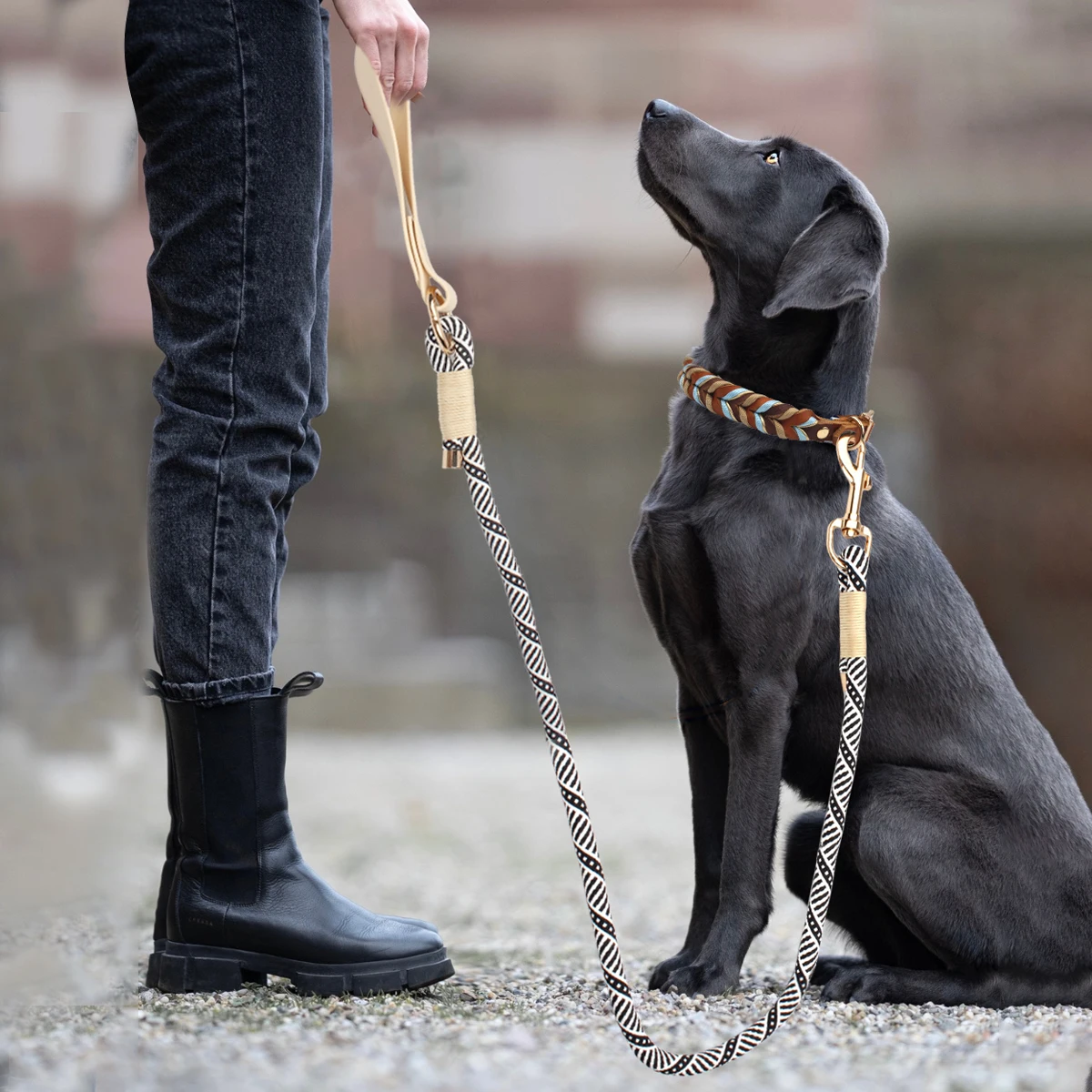 Slip-Nylon-Halsband- und Leinen-Sets, Haustier-Halsring, verstellbares Seil für kleine, mittelgroße und große, einfach zu handhabende Outdoor-Walking-Hunde, 4 Größen – Detail 12