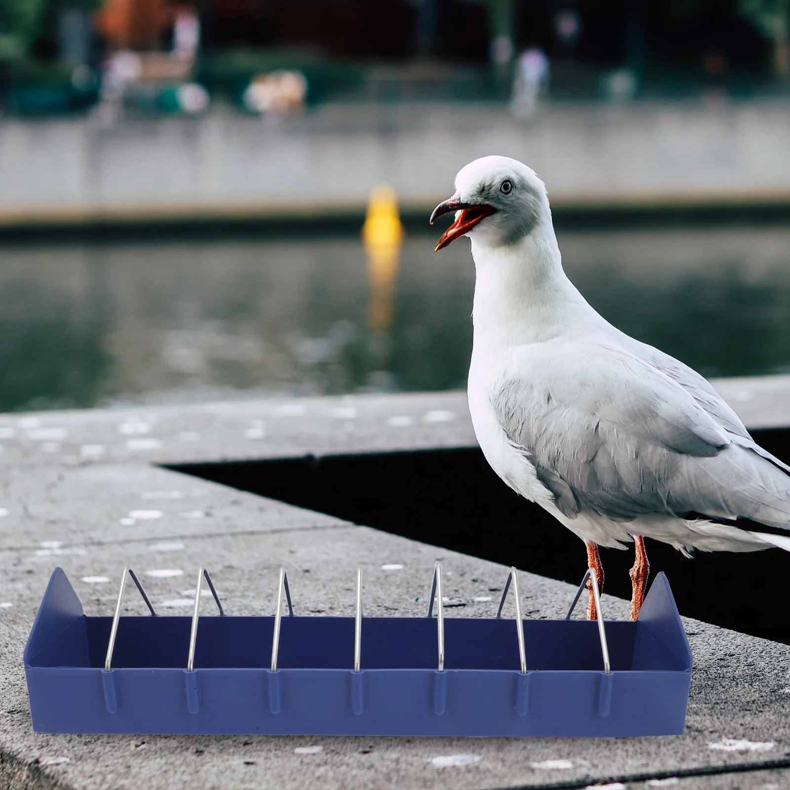 

2pcs Anti-splitting Box Cage Food Box Feeding Trough Cage Tray Container Bird Bowl Utensil Pet Supplies