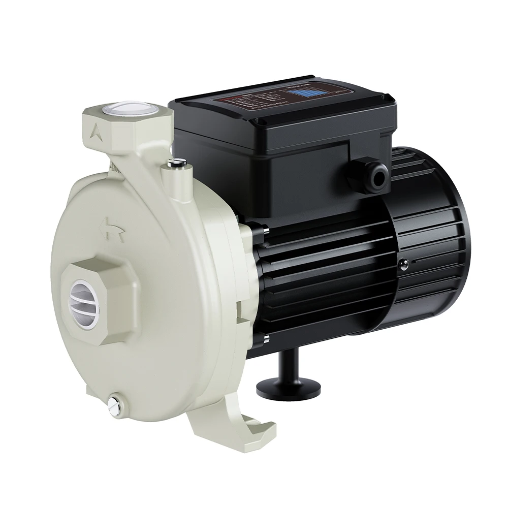 RHEKEN Horizontal Single-stage Centrifugal Electric Water Pump