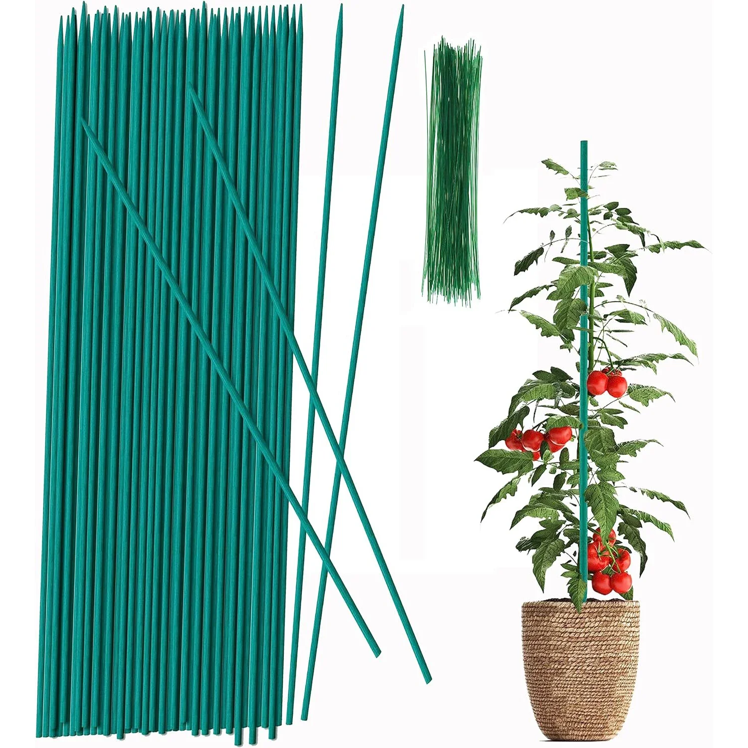 

30/60Pcs Plant Stakes Multipurpose Bamboo Floral Support Pole for Gardening Floral Potted Plant Support Horticulture Garden Tool