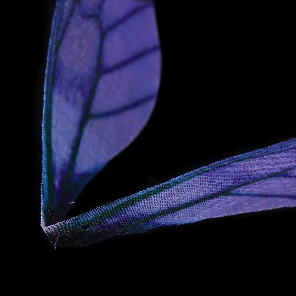 50 Pcs Artificial Dragonfly Wing Charms Unique Design for Earrings Brooch Decorations Handmade Supplies