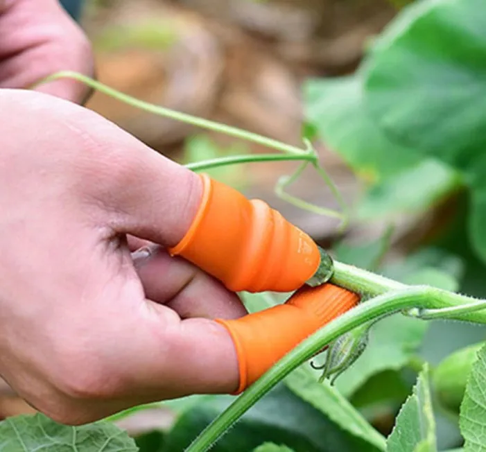 Practical Head Finger Vegetable Cutting Debugger