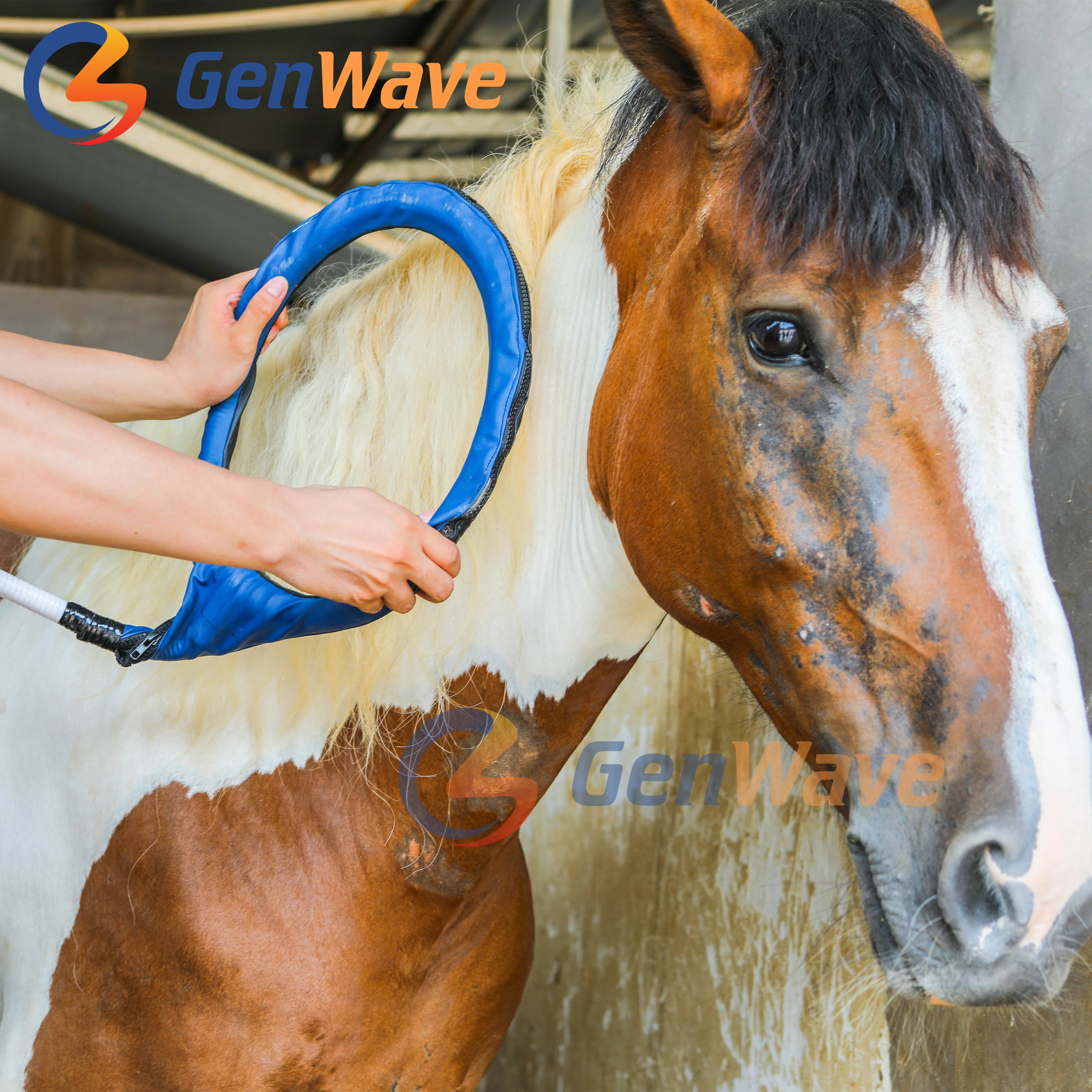 Equine Machine PMST LOOP Physio Magneto PEMF Magnetic Therapy Device Machine for Pain Management