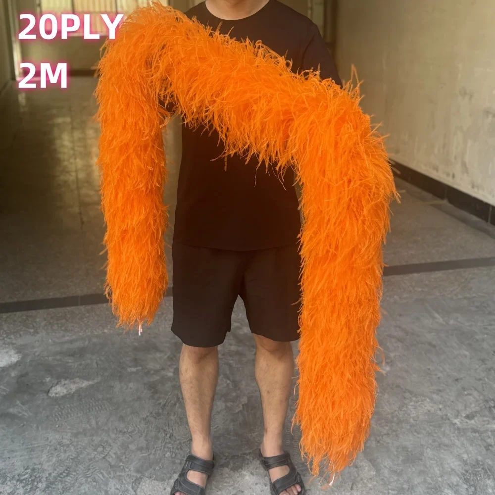 

10PCS Dyed Natural Ostrich Feathers Boa 2 Meters Fluffy Ostrich feather Shawl for Wedding Party Dress Sewing Decoration Scarf