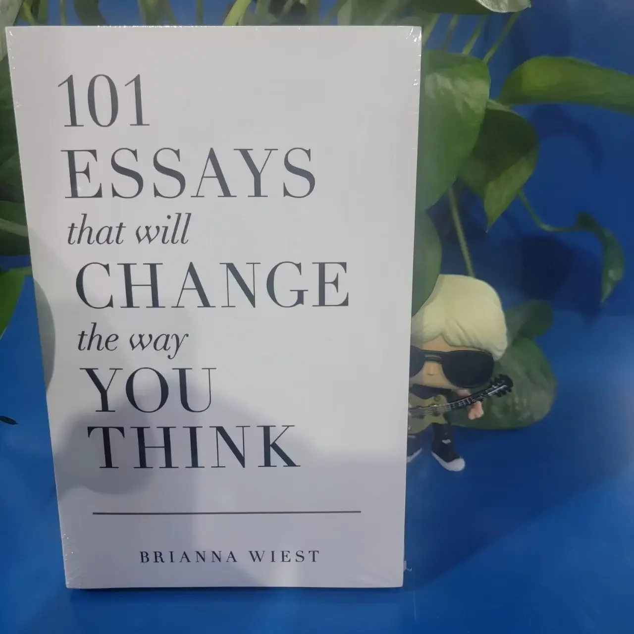 

2026 new 101 Essays That Will Change The Way You Think Paperback English Book