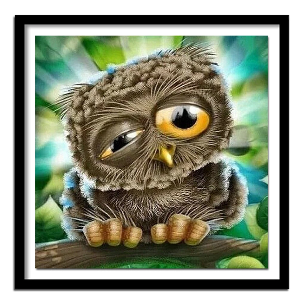 Pattern Full Diamond Embroidery Rhinestone Diy 5D Diamond Painting Cross Stitch Owls Diamond  Wall Decor Square Paintings