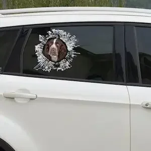 Adesivo, adesivo per finestra Spaniel Springer inglese, adesivo per auto, decalcomania per auto, decalcomania divertente