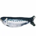 Sardines