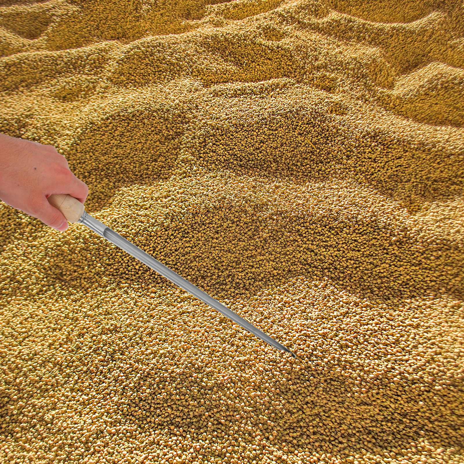

Stainless Steel 304 Grain Sampler Powder Probe Silver Planter Pickers Corn Wheat Rice Grains Tool Laboratory Agricultural Use