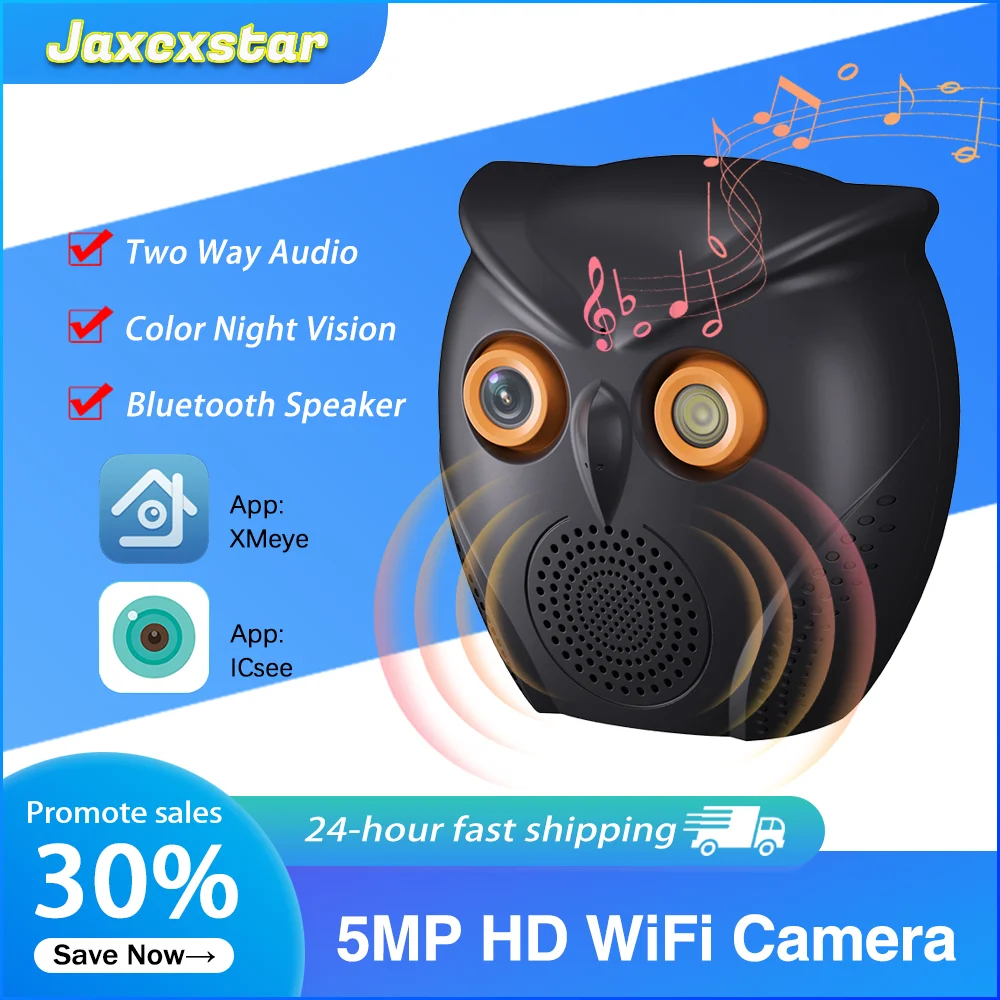 iCSee 5MP HD WIFI Bluetooth Speaker Camera loudspeaker security protection Wireless Video Surveillance IP Camera Indoor Monitor