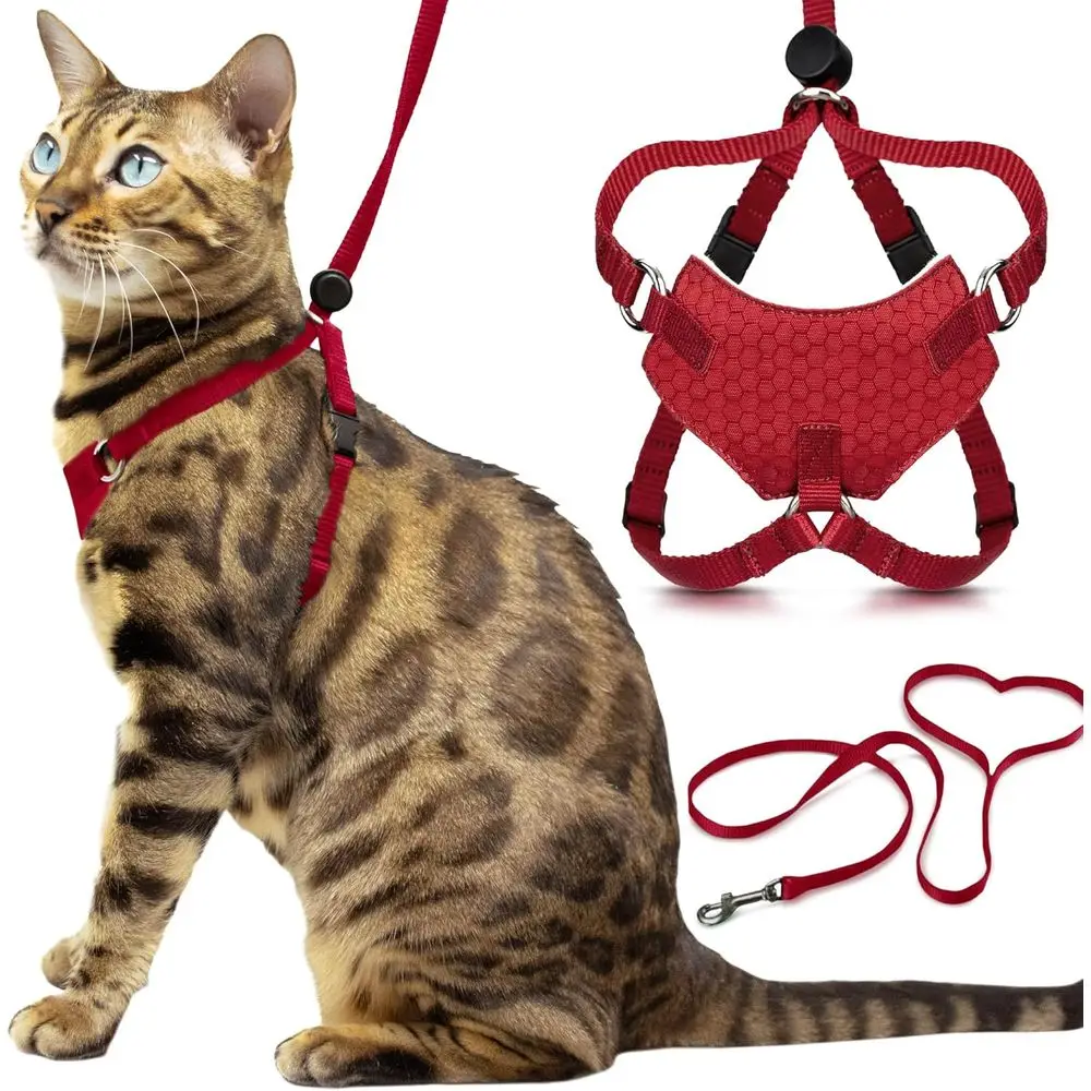 

Набор поводков для крупных кошек - профессиональная шлейка для прогулок с большими кошачьими породами