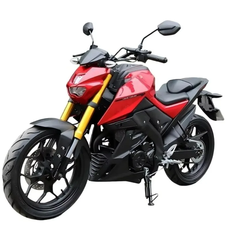 

Cool Design 250cc 300cc 4 Stroke Street Bike Sports Motorcycle Factory Wholesale High Quality Adult Two Wheel Racing Moto