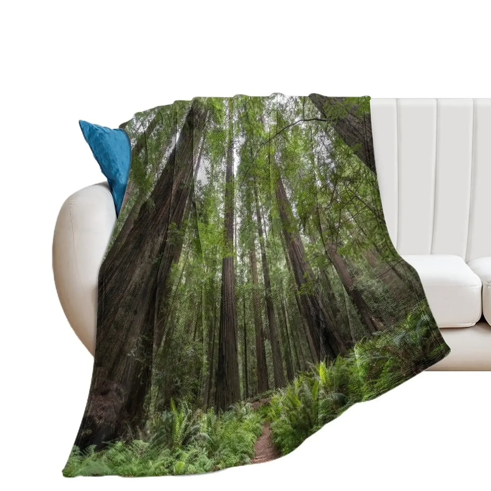 Redwoods Throw Blanket valentine gift ideas for sofa Multi-Purpose Cute Plaid Blankets