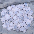 PE14619CT