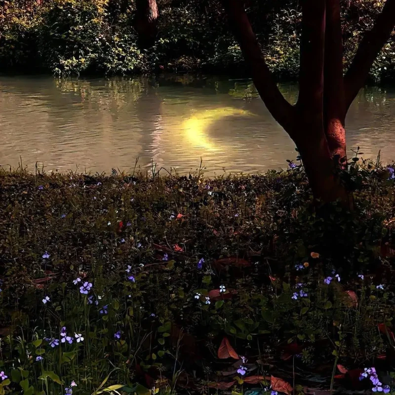 

GEPRC SPEEDX2 2105.5 Brushless Motor - 2650/3450KV 3-4S 1.5mm for 3-5inch Toothpick FPV Long Range RC Models