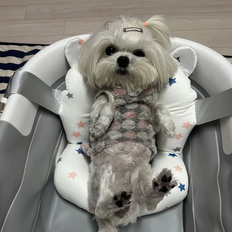 

Pet Bath Tub Bathtub Cats Dogs Bathtub Collapsible Pet Products Supplies Double Thickened Bath Tub Clean Accessories Grooming