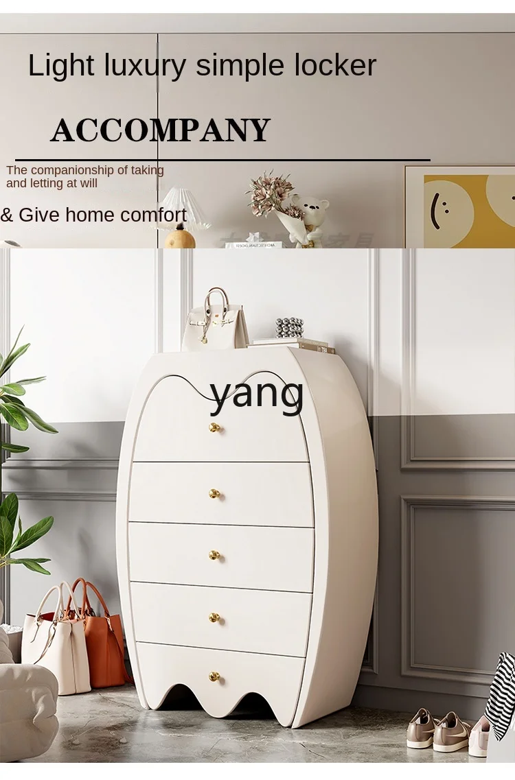 CX Living Room Entrance Cabinet Entry Door Multifunctional Storage Capacity Curio Cabinet