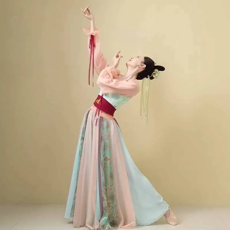 Classical dancer performance costumes for women practice dance clothes Chinese style folk dance dress