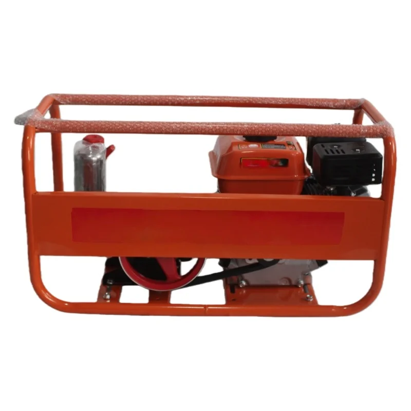 Heavy Du ty G a s oline Powered Sprayer with 22mm Stroke Pump for Effective Pest Control Spraying
