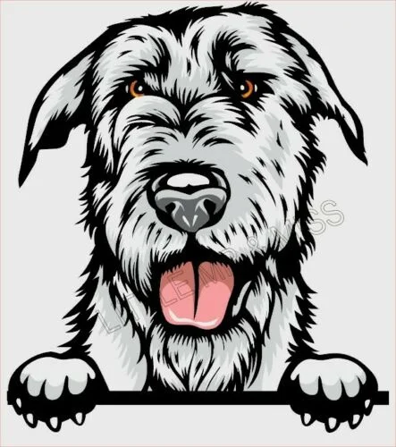 

For IRISH WOLFHOUND Peeking Dog Breed Color Window Laptop Wall Sticker w/proof