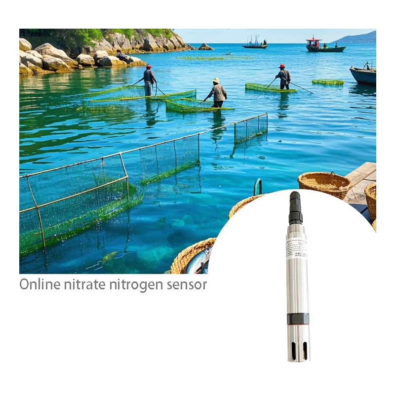 4-20mA Nitrate Ion Selective Electrode Online Installation Water Quality Nitrate Monitoring Sensor For Fish Farming