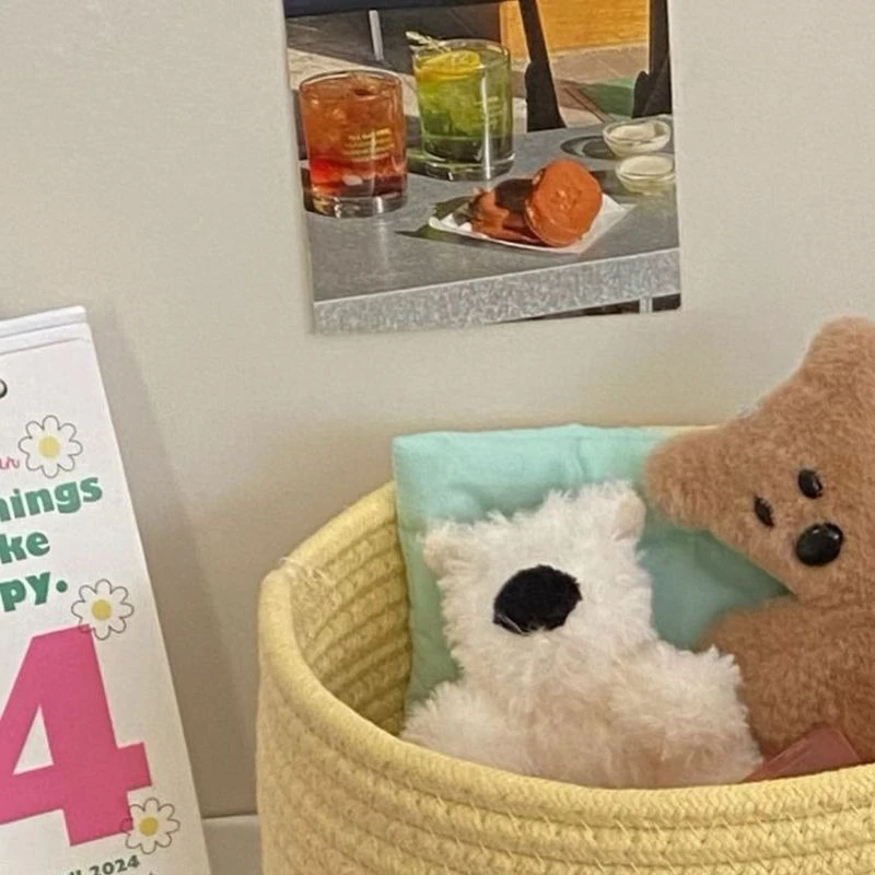 Cute cotton thread weaving storage basket home with lid miscellaneous storage basket desktop dust-proof ornament storage basket