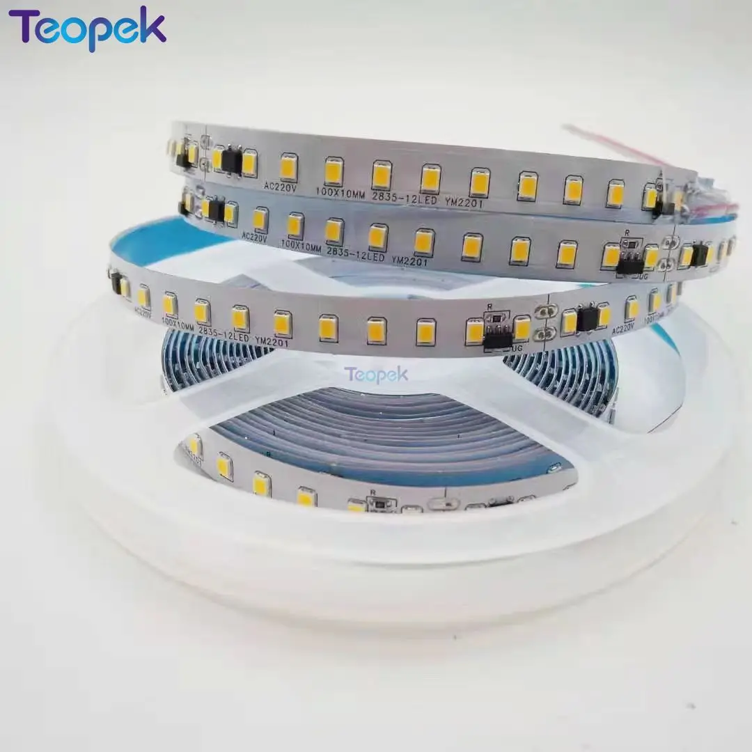 AC 220V-230V 2835 Led Strip Light 120LED/m 5m con IC non/ IP67 Tube decorazione impermeabile bianco/bianco caldo 10mm larghezza nastro