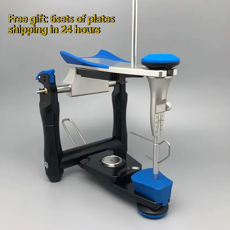 Dental Model Functional Articulator Teeth Model Accurate Scale Plaster Model Dentistry Lab Equipment