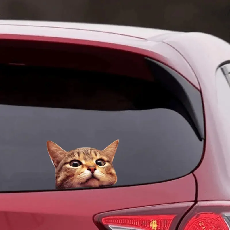 قطعتان من ملصقات الفينيل الرائعة لنافذة القط مقاس 13 × 9 سم، ملصق مقاوم للماء ثلاثي الأبعاد مضحك للسيارة والشاحنة وسيارات الدفع الرباعي والكمبيوتر المحمول
