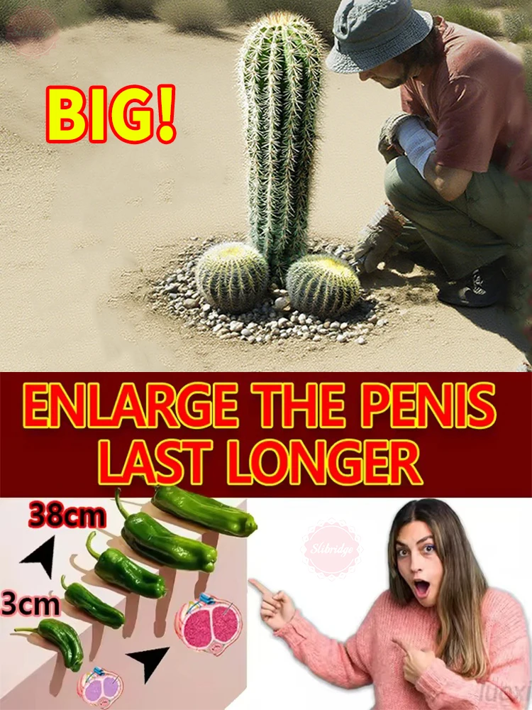 พี่ชายผู้ทรงพลัง