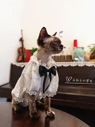 Sphynx Cat Lace Dress Lace Pure White Wedding Dress with Bow For kittens Hairless Cat Clothes Soft Thin Material Devon Rex