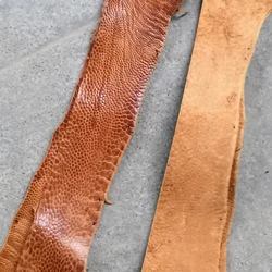 Genuine Ostrich Leg Leather Piece, Natural Leather Piece, Leather for Watch Strap, Key Ring, 30cm, 1 Pc