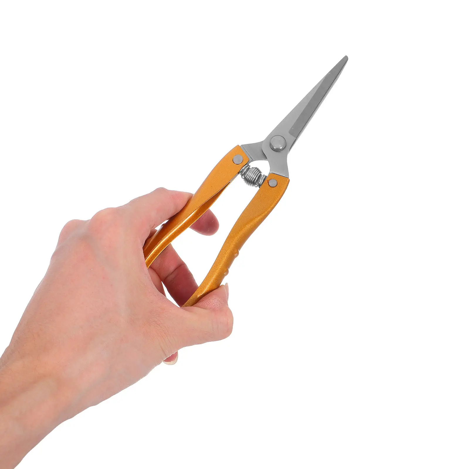 

2Pcs Professional Pruning Shears Garden Scissors for Flowers Plants Stainless Steel Rust-Proof Ergonomic Design Labor-Saving