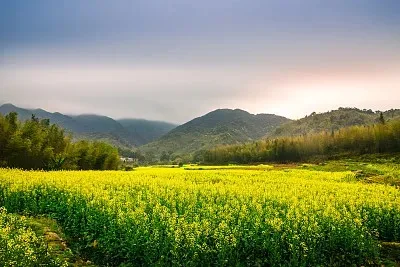 

Metal Upgrade Chassis Frame & Gearbox Mount for MN 1/12 Tank 300 MN300 RC Car Spare Parts