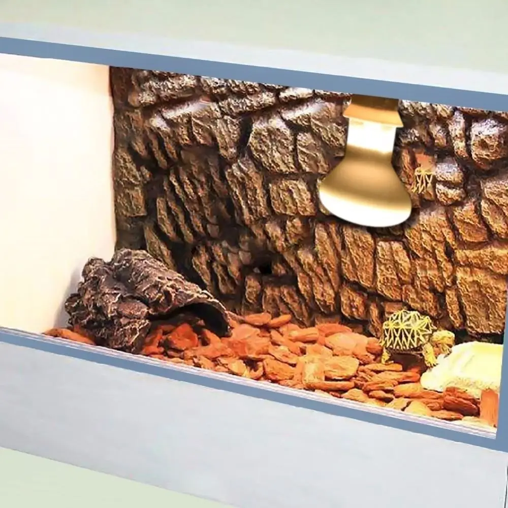 Lizard Heat Lamp Temperature Controller Halogen Bulb UVA Light Reptile Basking Light