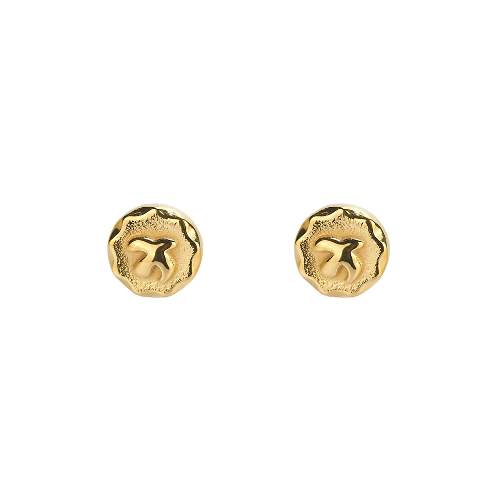 Flying Eagle Stud Earrings Fashion Delicate Trendy Unisex Titanium Steel Jewelry