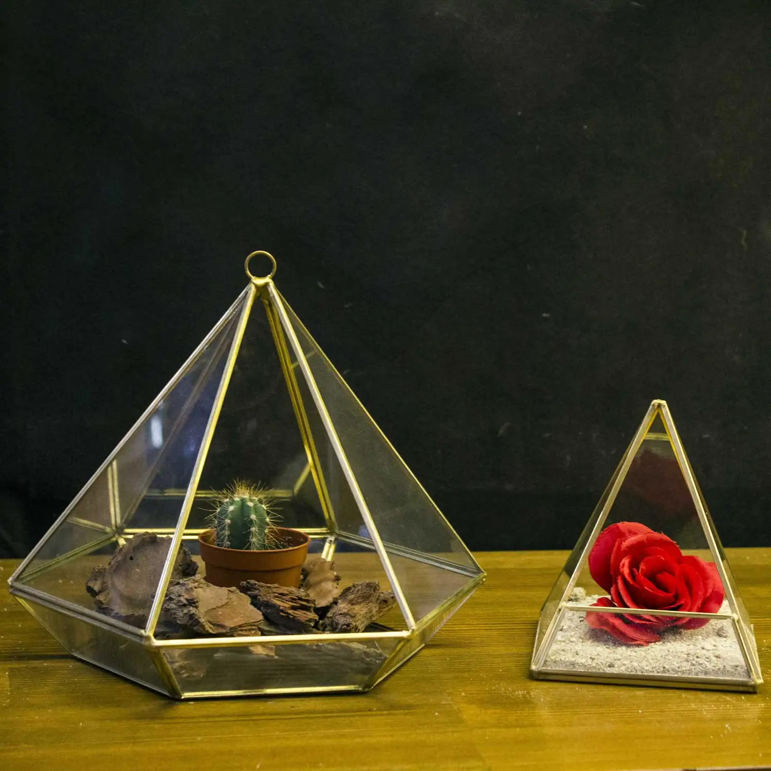 Euro Flora triangle prism terrarium glass 23x20 Cm