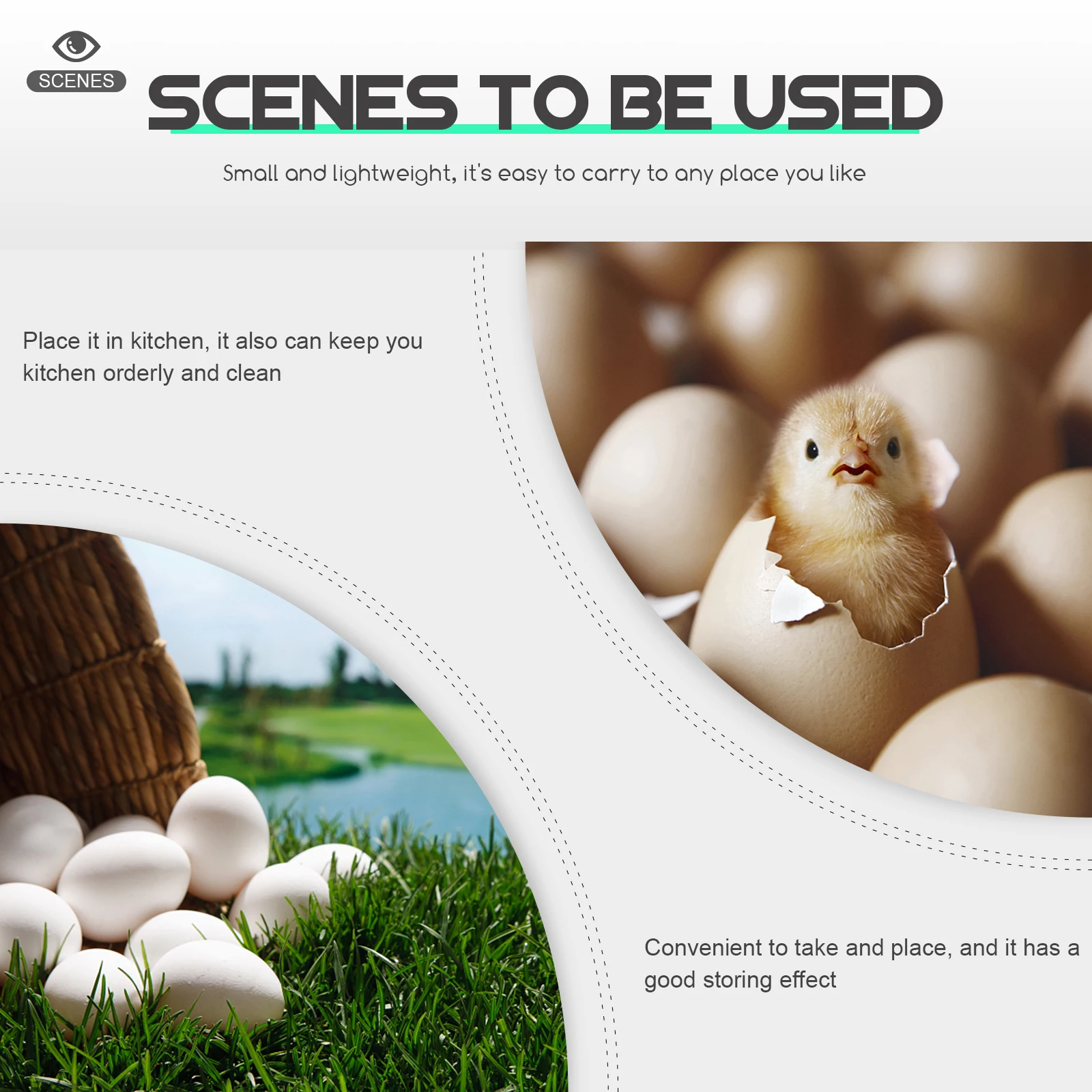 

88 Compartments Eggs Incubation Tray Durable Plastic Container Lightweight Brooder Machine Chicken Quail Egg Fixing Tray
