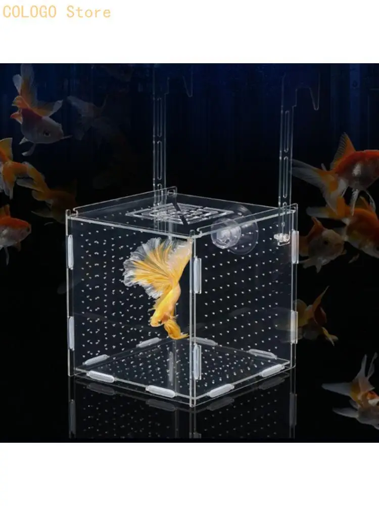 Strong Acrylic Water Life Division Box With Two Compartments 15x15cm Base D0LD